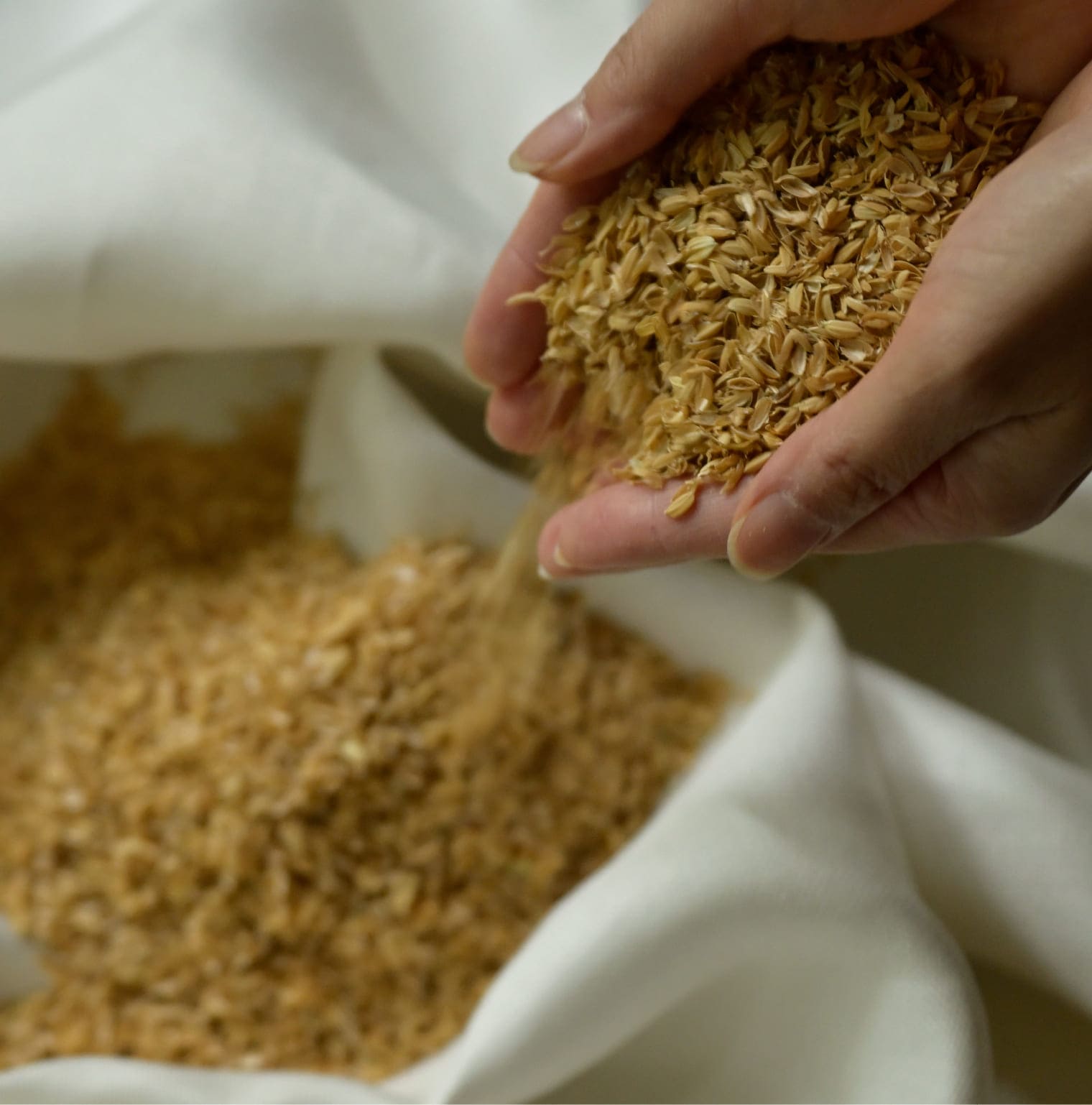 nico ストールポンチョ / 光やわらぎ風通す 雪国新潟のもみ殻和紙