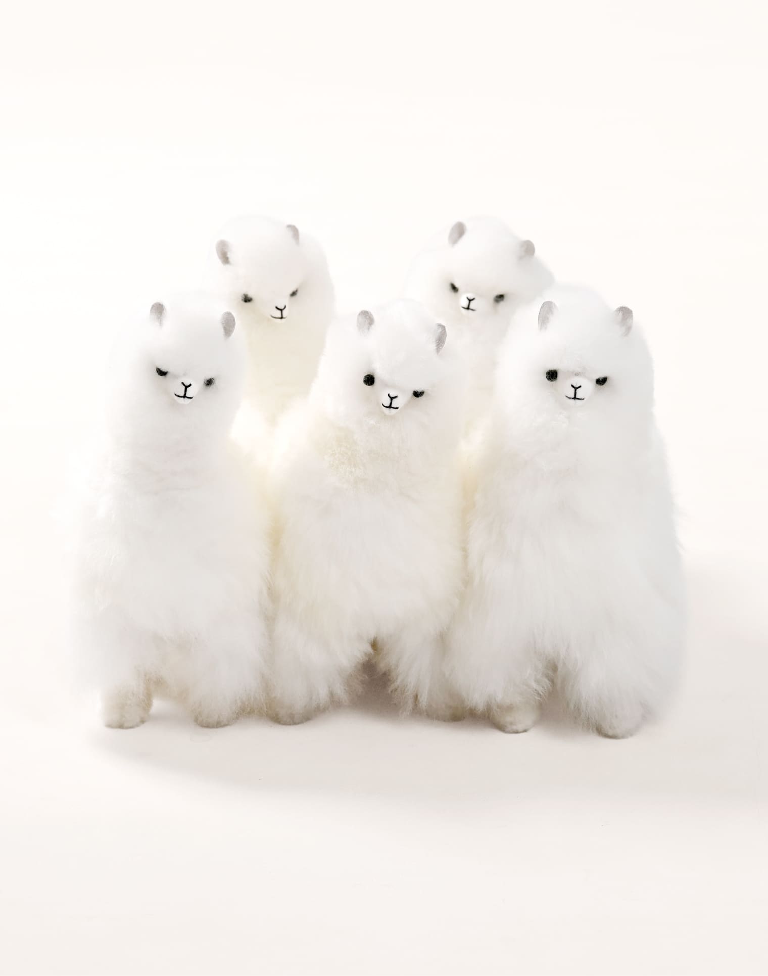 アルパカドール