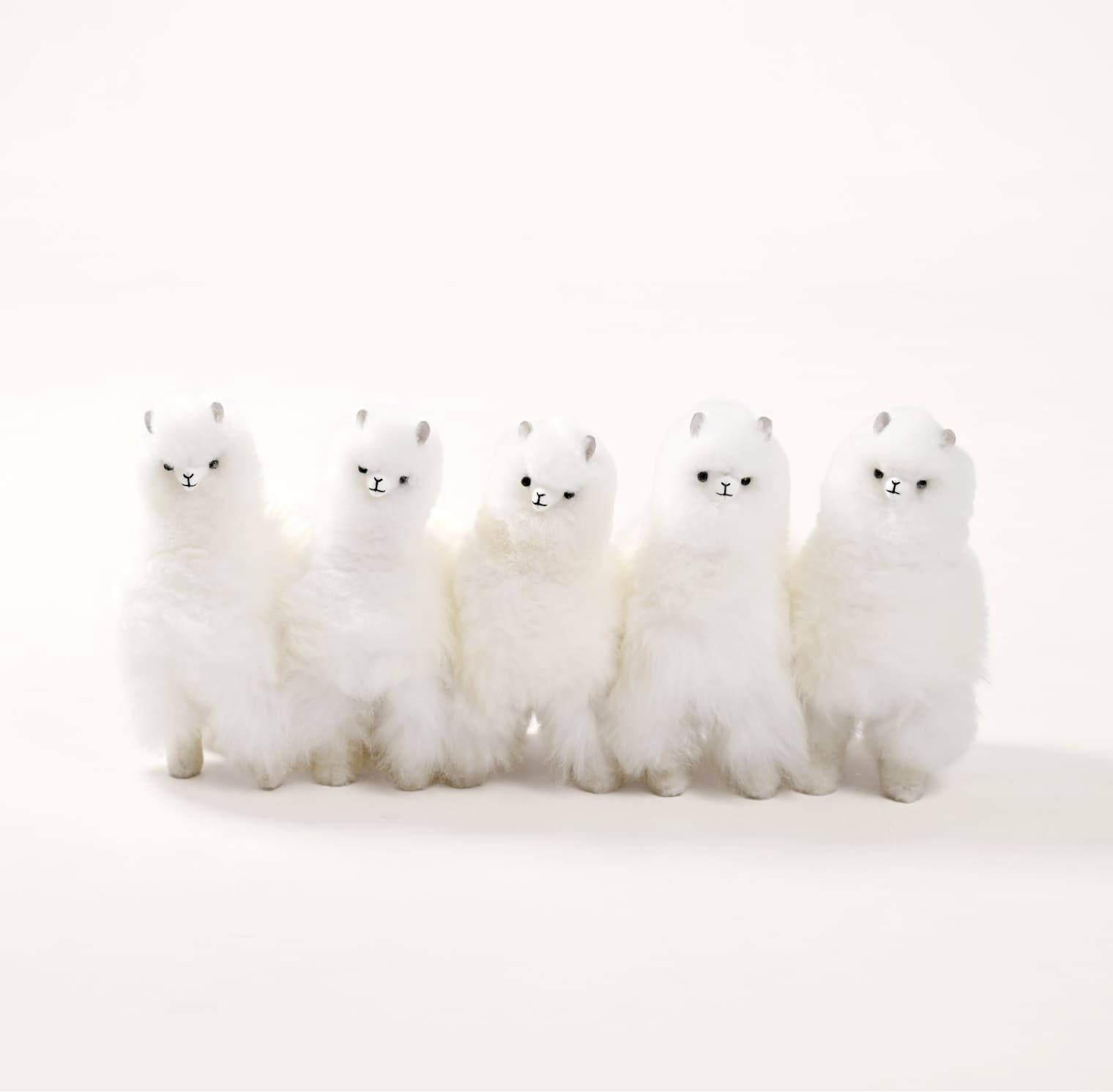 アルパカドール