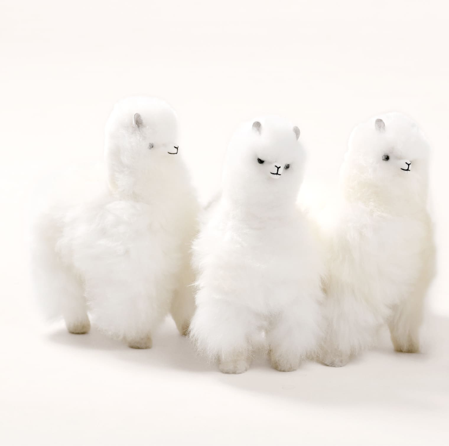 アルパカドール