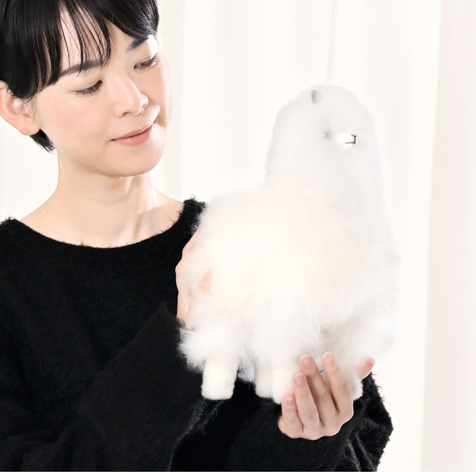 アルパカドール