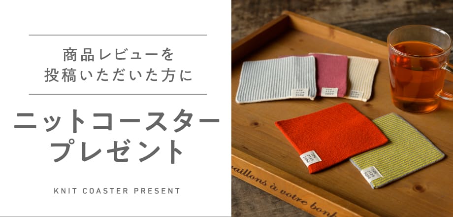 ӥ塼Ƥǥ˥åȥץ쥼